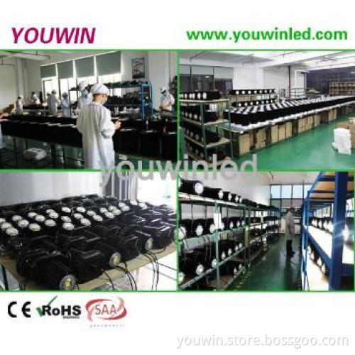 Shenzhen factory Industrial led high bay 30W
